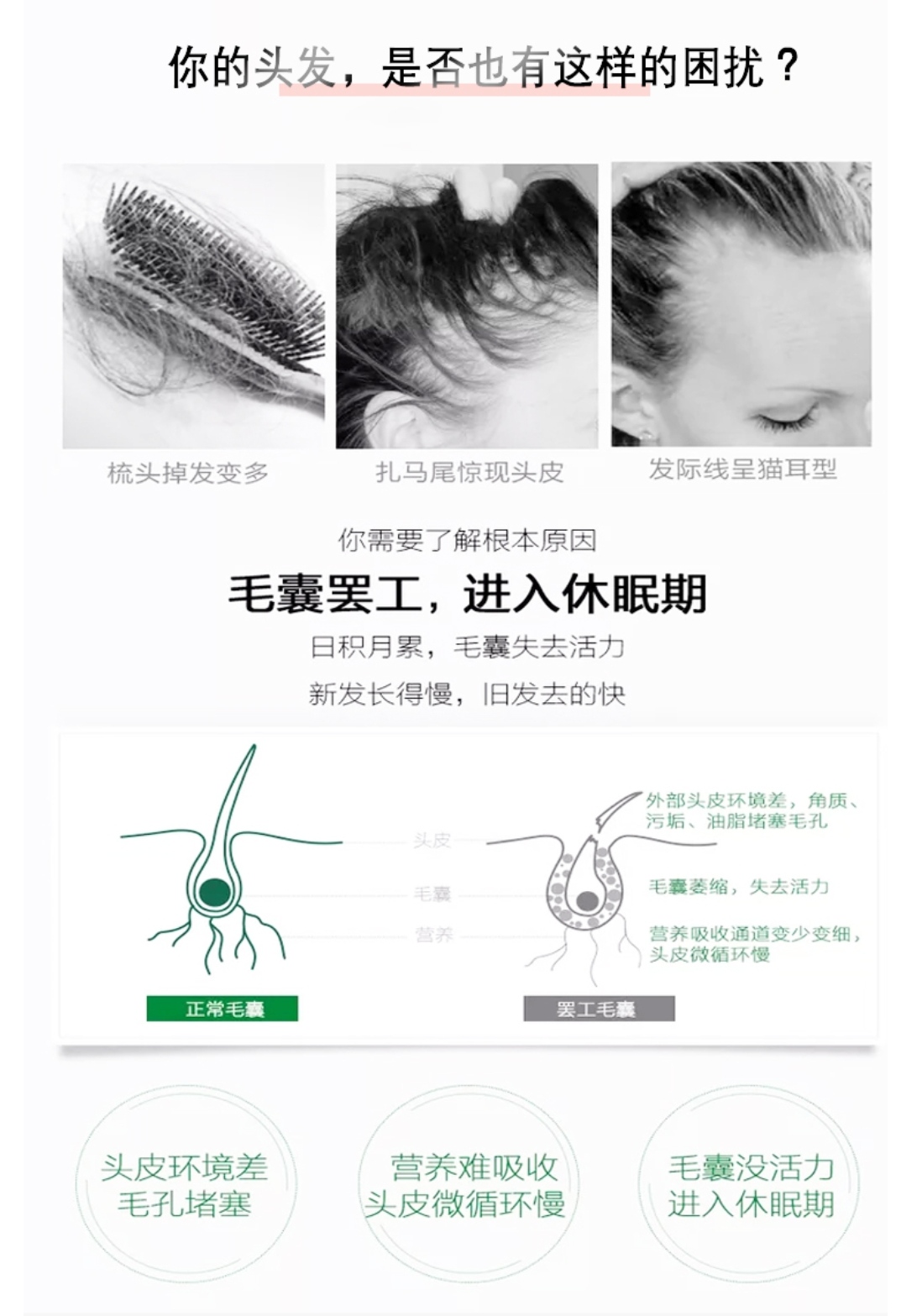 医之本.平衡梳