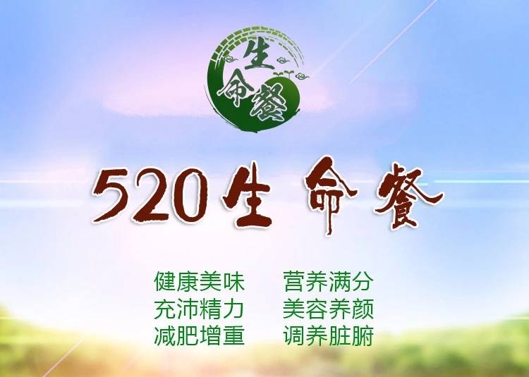 520生命餐健康代餐营养100分的早餐